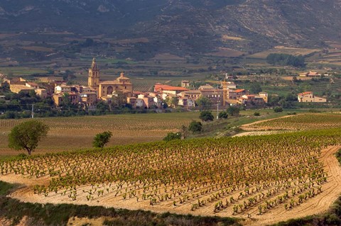 Framed Village of Brinas surrounded by Vineyards, La Rioja Region, Spain Print