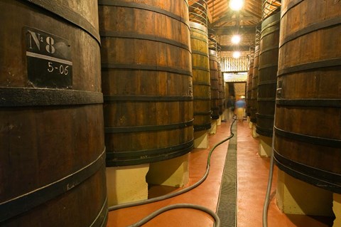 Framed Large Oak tanks holding wine, Bodega Muga Winery, Haro village, La Rioja, Spain Print