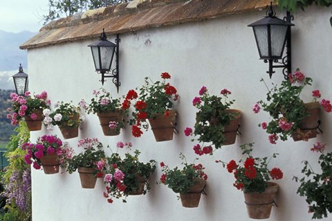 Framed Geraniums along White Wall of Palacio de Mondragon, Ronda, Spain Print