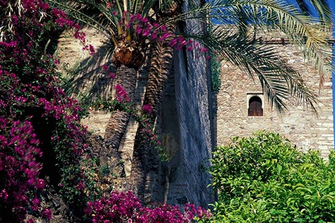 Framed Plams, Flowers and Ramparts of Alcazaba, Malaga, Spain Print