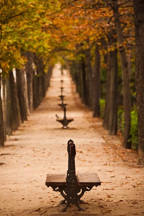 Framed Parque del Buen Retiro, Madrid, Spain Print