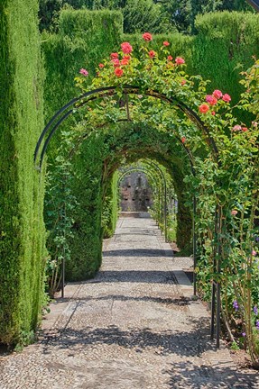 Framed Archway of trees in the gardens of the Alhambra, Granada, Spain Print