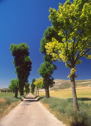 Framed Pilgrimage Road, El Camino de Santiago de Compostela, Castile, Spain Print