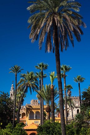 Framed Alcazar Gardens, Seville, Spain Print