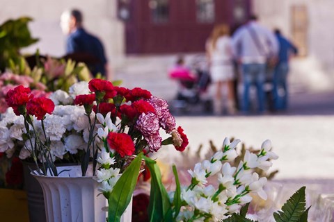 Framed Spain, Cadiz, Plaza de Topete Flower Market Print