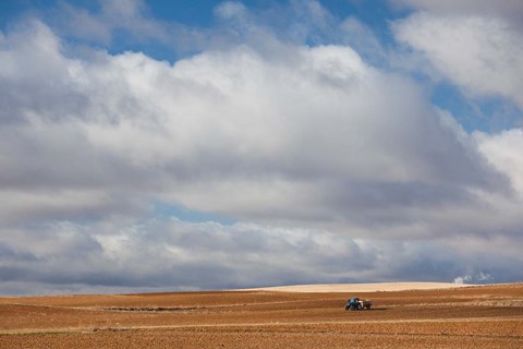 Framed Farm Field In Autumn, Benavente, Spain Print