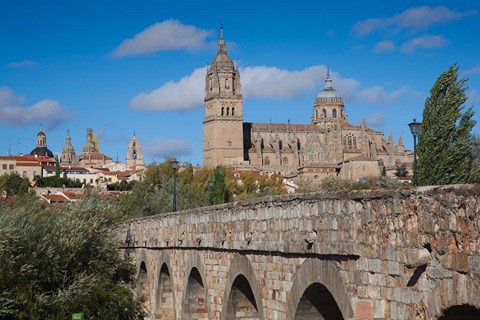 Framed Puente Romano, Salamanca, Spain Print