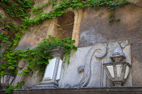 Framed Spain, Granada Ivy growing on the walls of the Alhambra Print