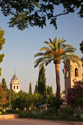 Framed Spain, Granada, Alhambra The Generalife gardens Print