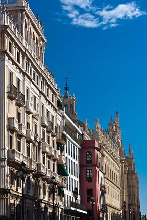 Framed Spain, Spain, Seville, Avenida Constitucion avenue Print