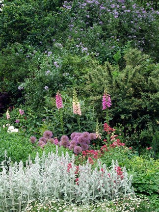 Framed Nash Garden, St James Park, London, England Print