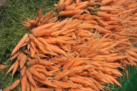 Framed Carrots, England Print