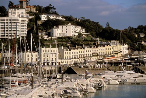 Framed View of Marina and Town from Torquay Pier, Torquay, Devon, England Print