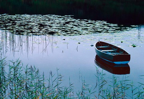 Framed Rowboat on Lake Surrounded by Water Lilies, Lake District National Park, England Print