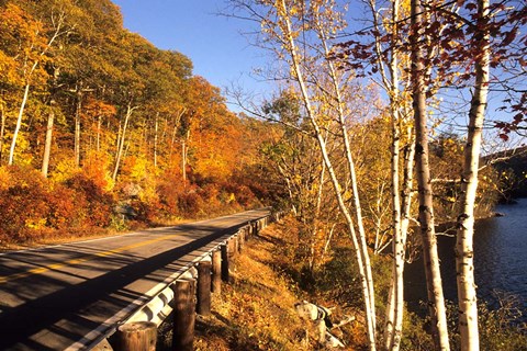 Framed Tranquil Road with Fall Colors in New England Print