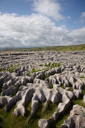 Framed Limestone Pavement, Malham Cove, Yorkshire Dales National Park, North Yorkshire, England Print