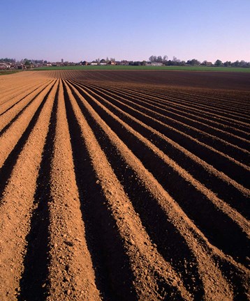 Framed Ploughed Field, Surrey, England Print