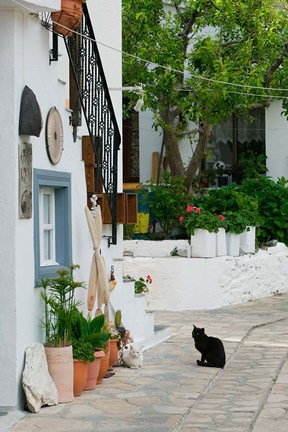 Framed Street View with Black Cat, Manolates, Samos, Aegean Islands, Greece Print