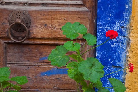 Framed Geraniums and old door in Chania, Crete, Greece Print