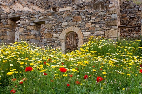 Framed Old building and wildflowers, Island of Spinalonga, Crete, Greece Print