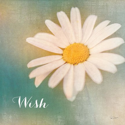 Framed Daisy Wishes Print