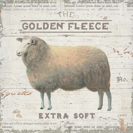 Framed On the Farm IV Print