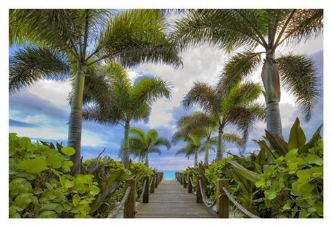 Framed Paradise Path Print