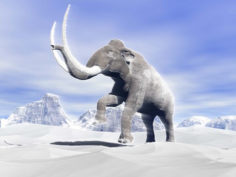 Framed Large Mammoth Walking Slowly on the Snowy Mountain Print