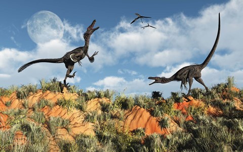 Framed Velociraptors involved in a Territorial Dispute Print