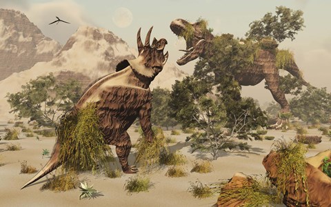 Framed Living fossils of a Triceratops and a T-Rex Confronting Each Other Print