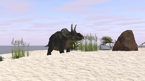 Framed Triceratops on a Beach Print