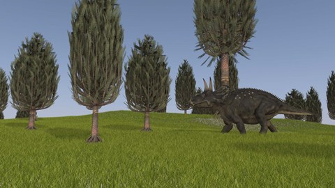Framed Triceratops Walking across a Grassy Field 1 Print