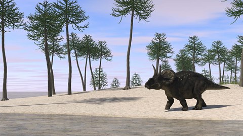 Framed Triceratops Walking along the Shoreline 3 Print