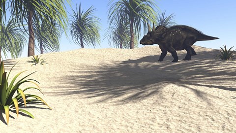 Framed Triceratops Walking in a Tropical Environment 1 Print