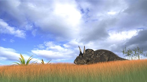 Framed Triceratops Walking through Tall Grass Print