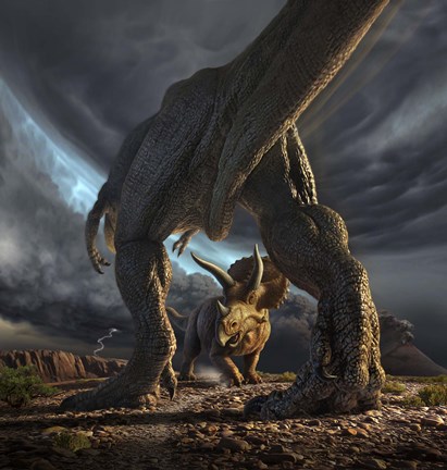 Framed Tyrannosaurus Rex and Triceratops in a Face Off Print