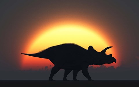 Framed Silhouetted Triceratops strolling Past a Setting Sun Print