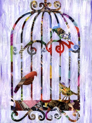 Framed Bird Cage Print