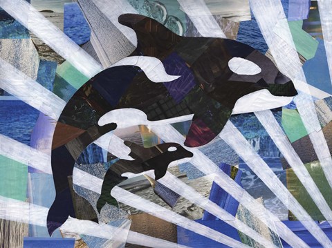 Framed Killer Cute Whales Print