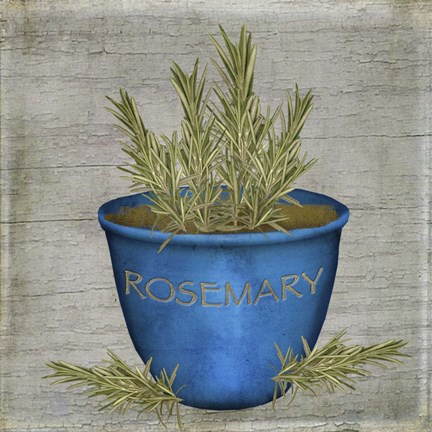 Framed Herb Rosemary Print