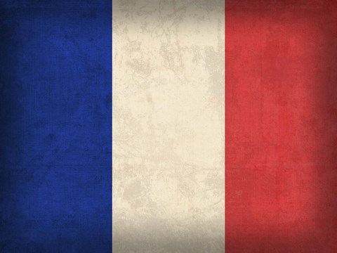 Framed France Print