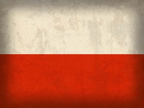 Framed Poland Print