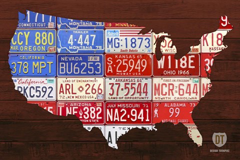 Framed USA Flag Map Print