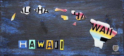 Framed Hawaii State Map Print