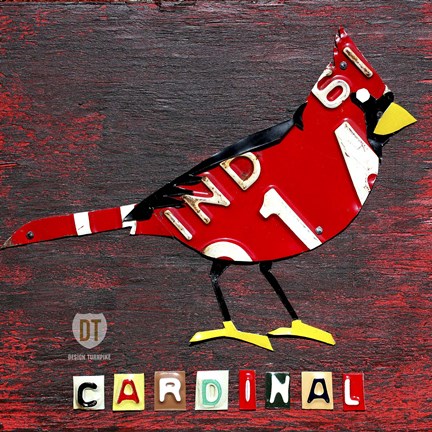 Framed Indiana Cardinal Print