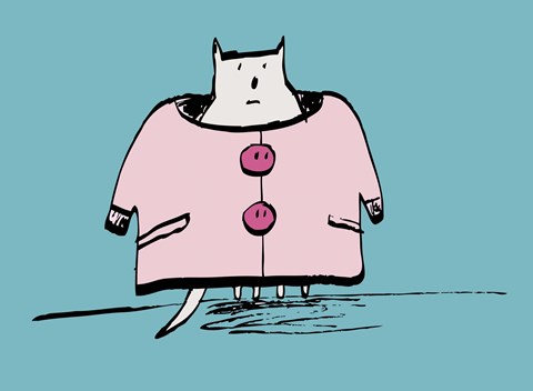 Framed Awkward Cat Print