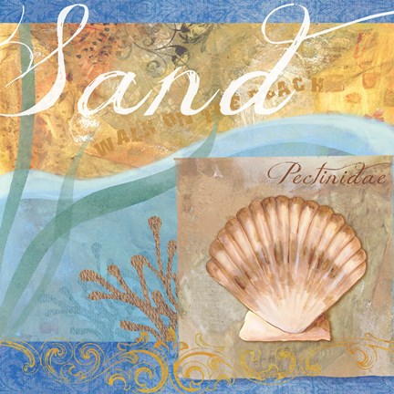 Framed Seashells III Print