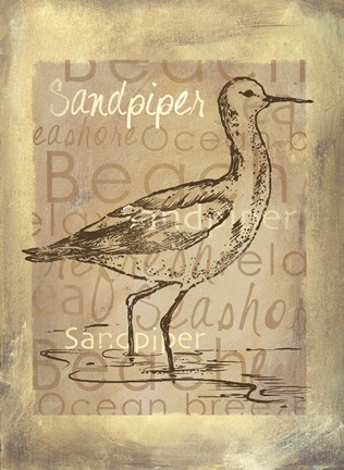 Framed Shore Life II Print