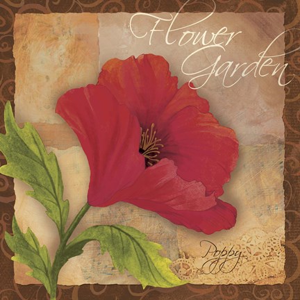 Framed Poppy Print