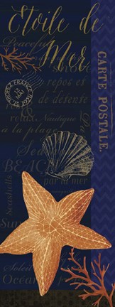 Framed Coastal Blues II Print